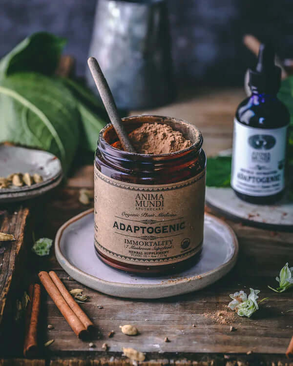 Anima Mundi IMMORTALITY ADAPTOGENIC Mushroom Superfood to Boost Your Resilience - Image 5