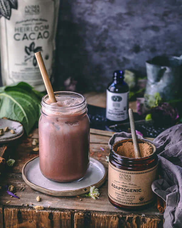 Anima Mundi IMMORTALITY ADAPTOGENIC Mushroom Superfood to Boost Your Resilience - Image 6