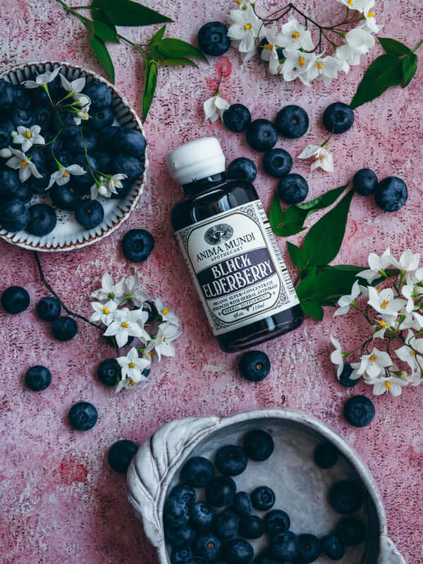 Anima Mundi BLACK ELDERBERRY Elixir - Organic Antivirals - Image 4