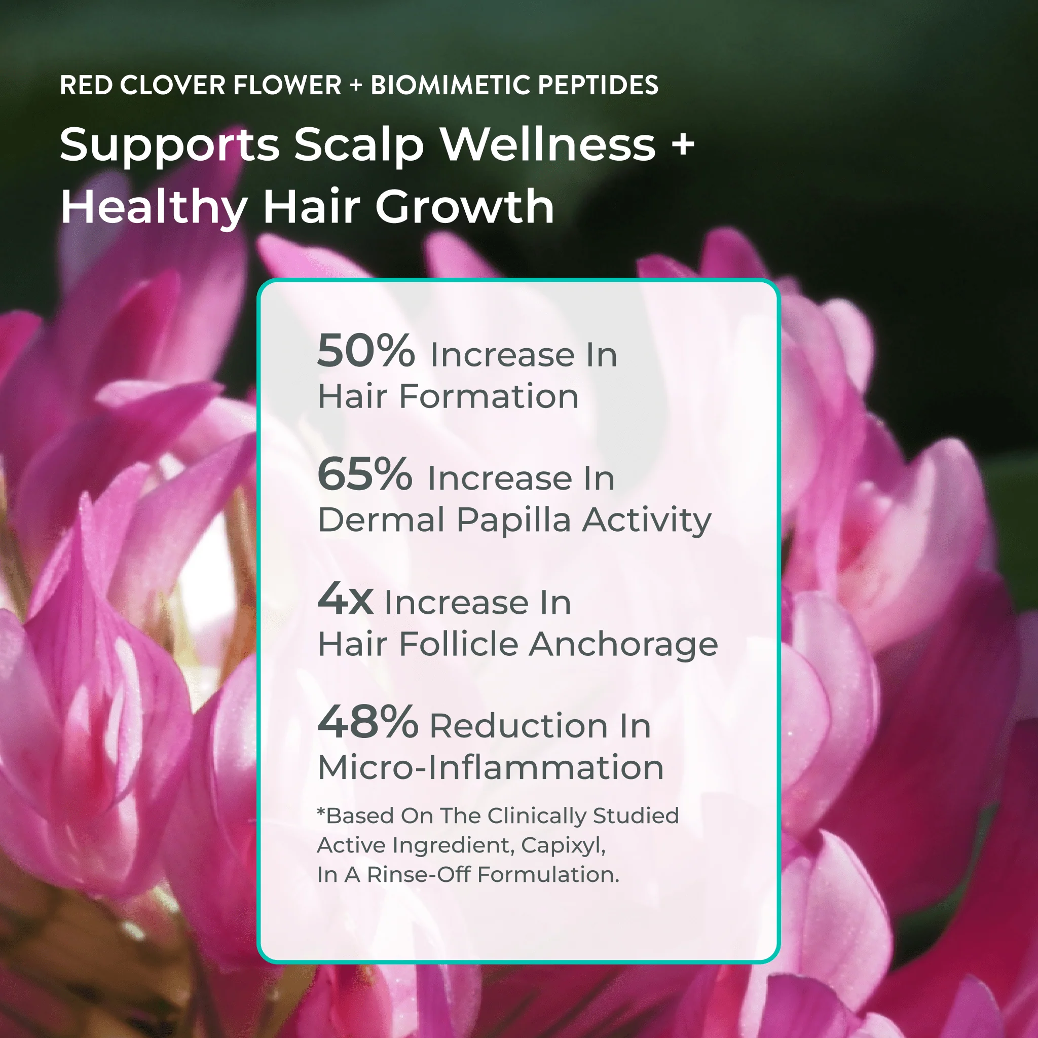 EvolvH Better Roots RootBoost Serum - Image 9