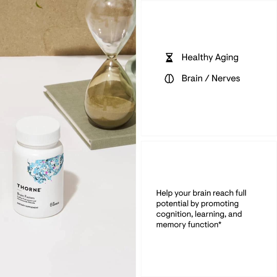 Brain Factors - Image 2
