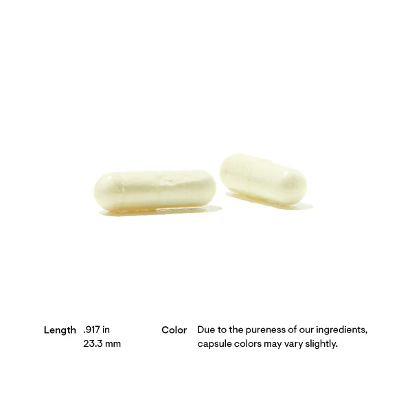 Cellular Energy Elite Stack | CoQ10, PQQ, ALA, Magnesium, Methylation - Image 13