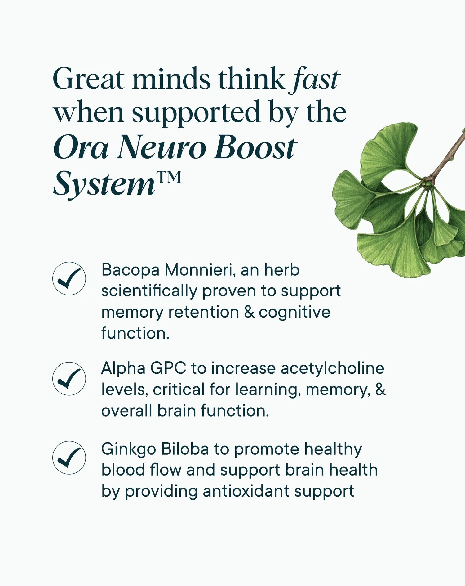Ora Organic Cognitive Support Supplement - Image 3