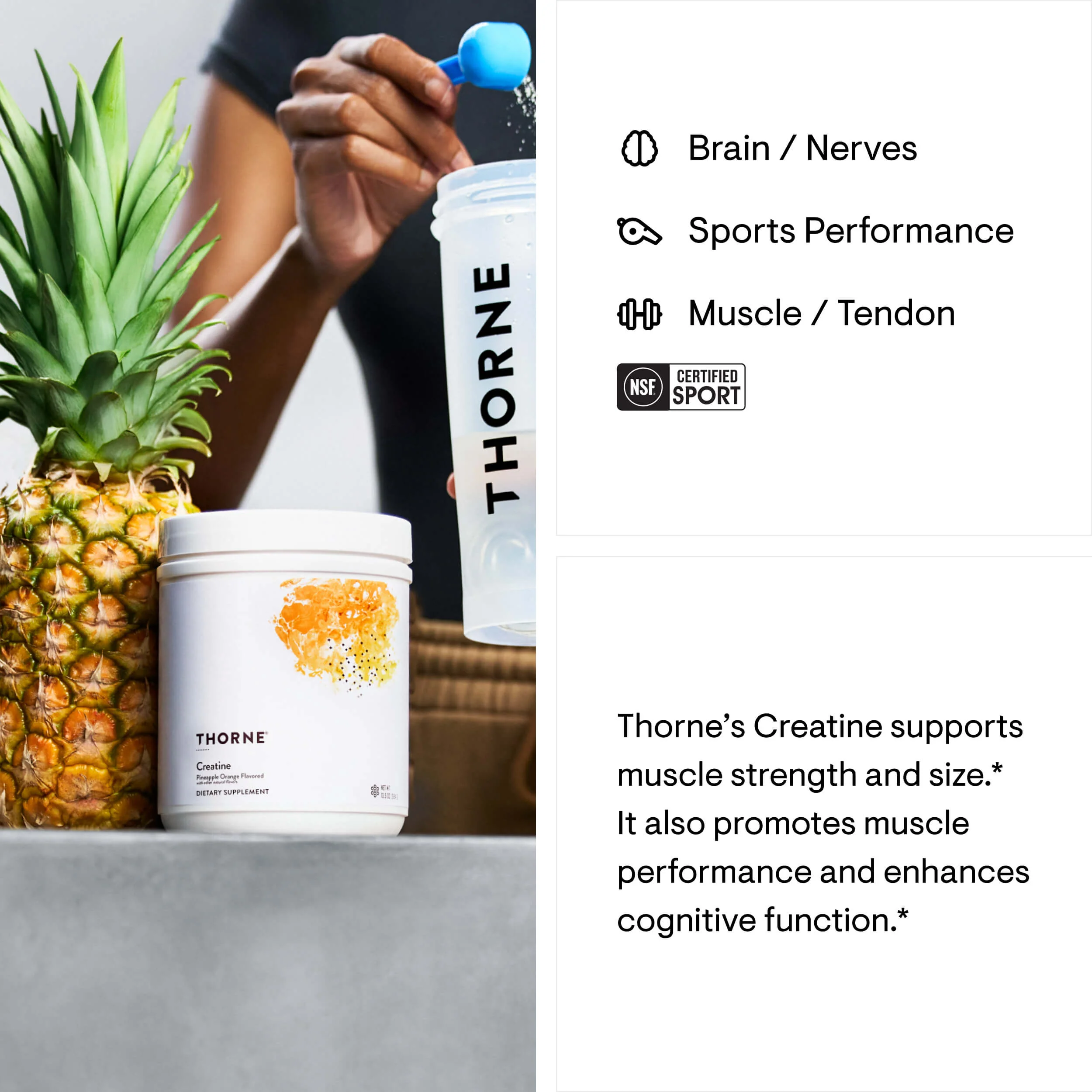 Creatine - Pineapple Orange - Image 2