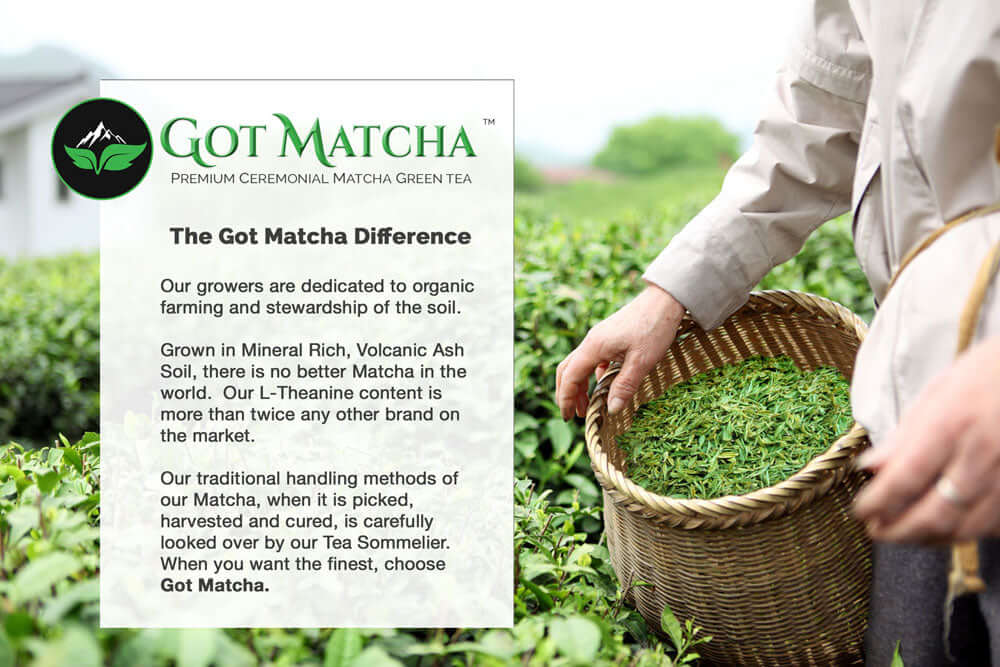 Got Matcha - Organic Matcha Caramel Apple Tea - Image 3