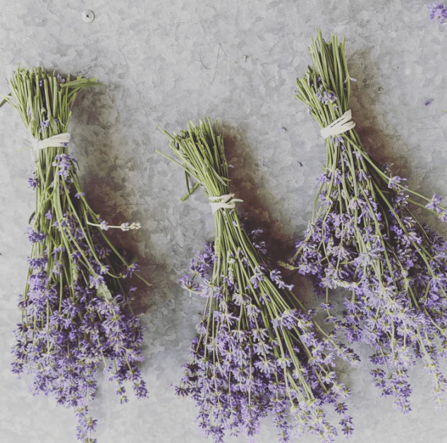 Lavender Soothing Bath Tea - Image 4