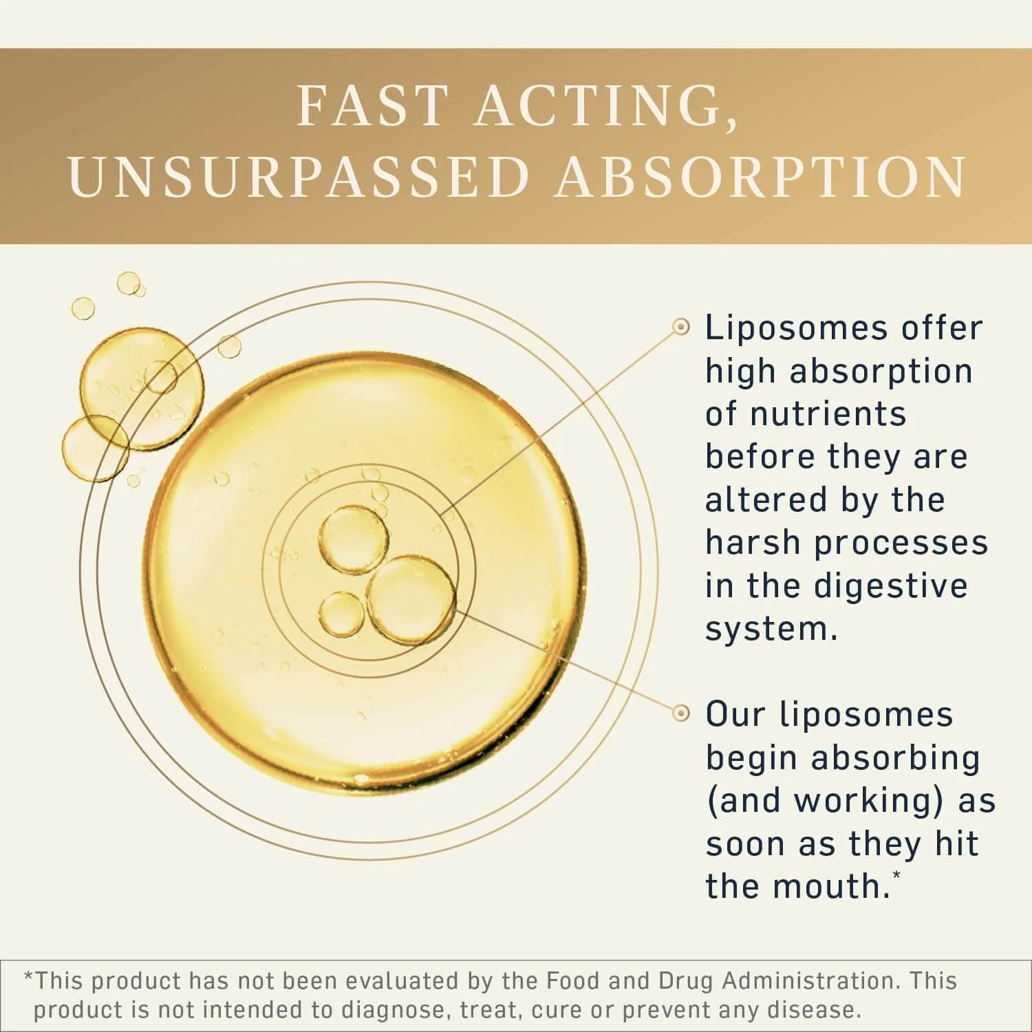 Liposomal Vitamin C - Image 3