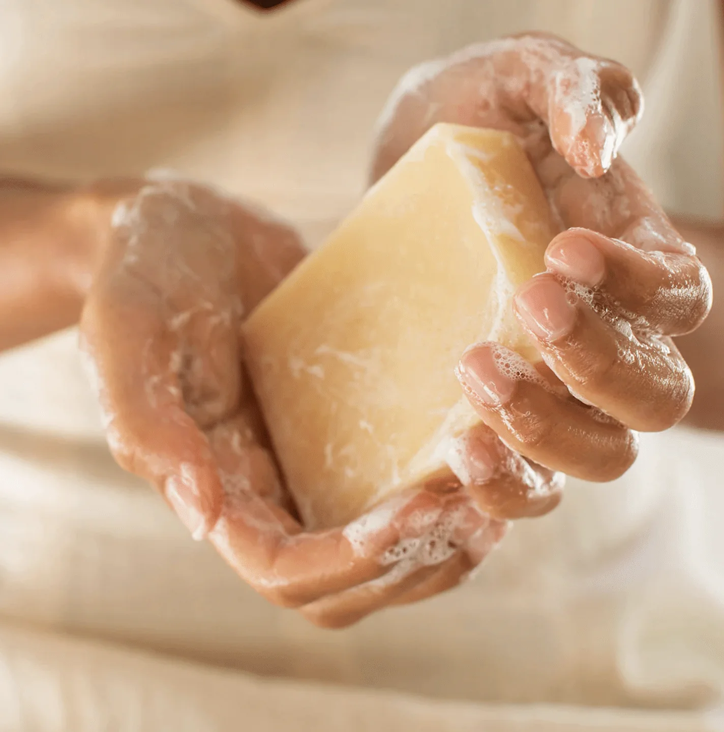 Meow Meow Tweet - Bar Soap - Image 5