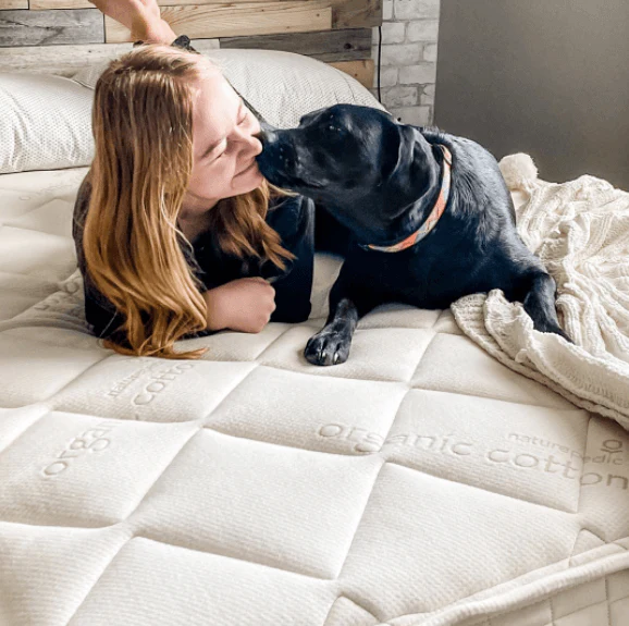 Naturepedic Organic Chorus Mattress - Image 3