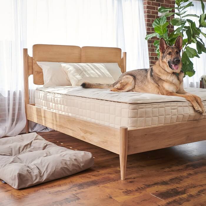 Naturepedic Organic Pet Bed with Washable Waterproof Cover - Image 4