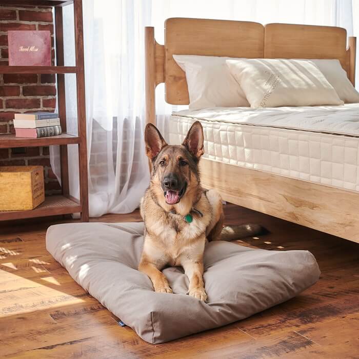 Naturepedic Organic Pet Bed with Washable Waterproof Cover - Image 5
