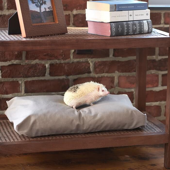 Naturepedic Organic Pet Bed with Washable Waterproof Cover - Image 6