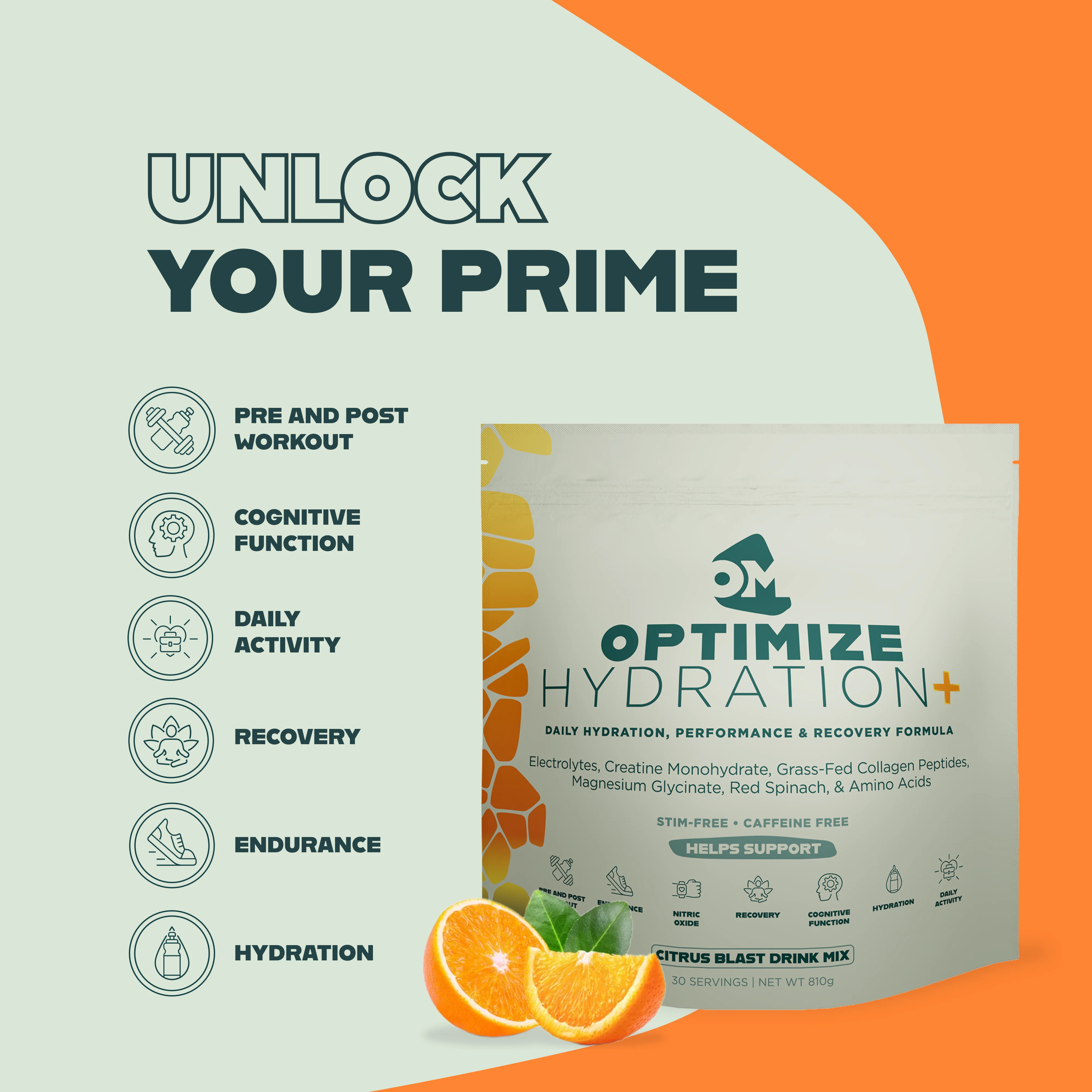 Optimize Hydration + - Image 18