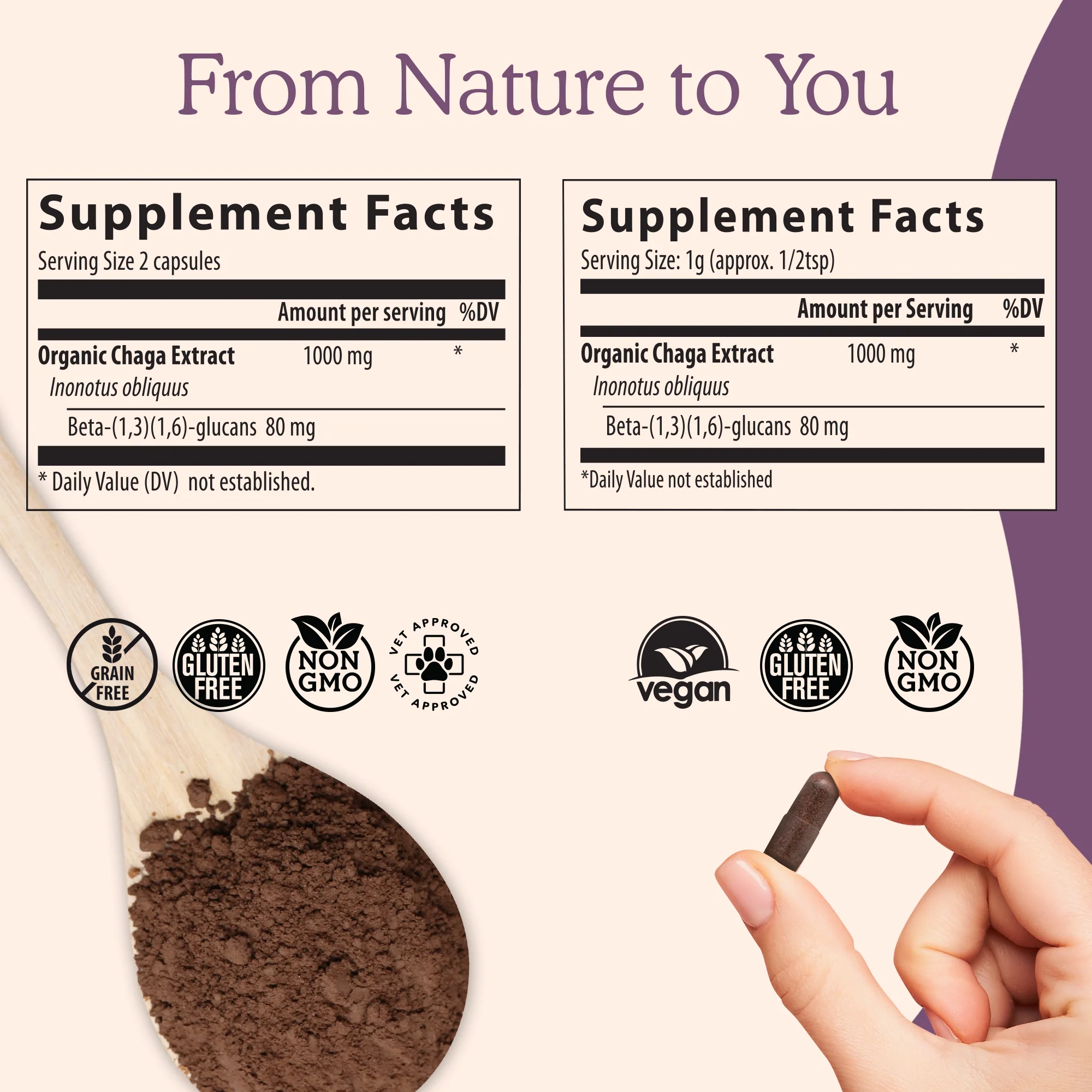 REAL MUSHROOMS Organic Chaga Extract Capsules - Image 5