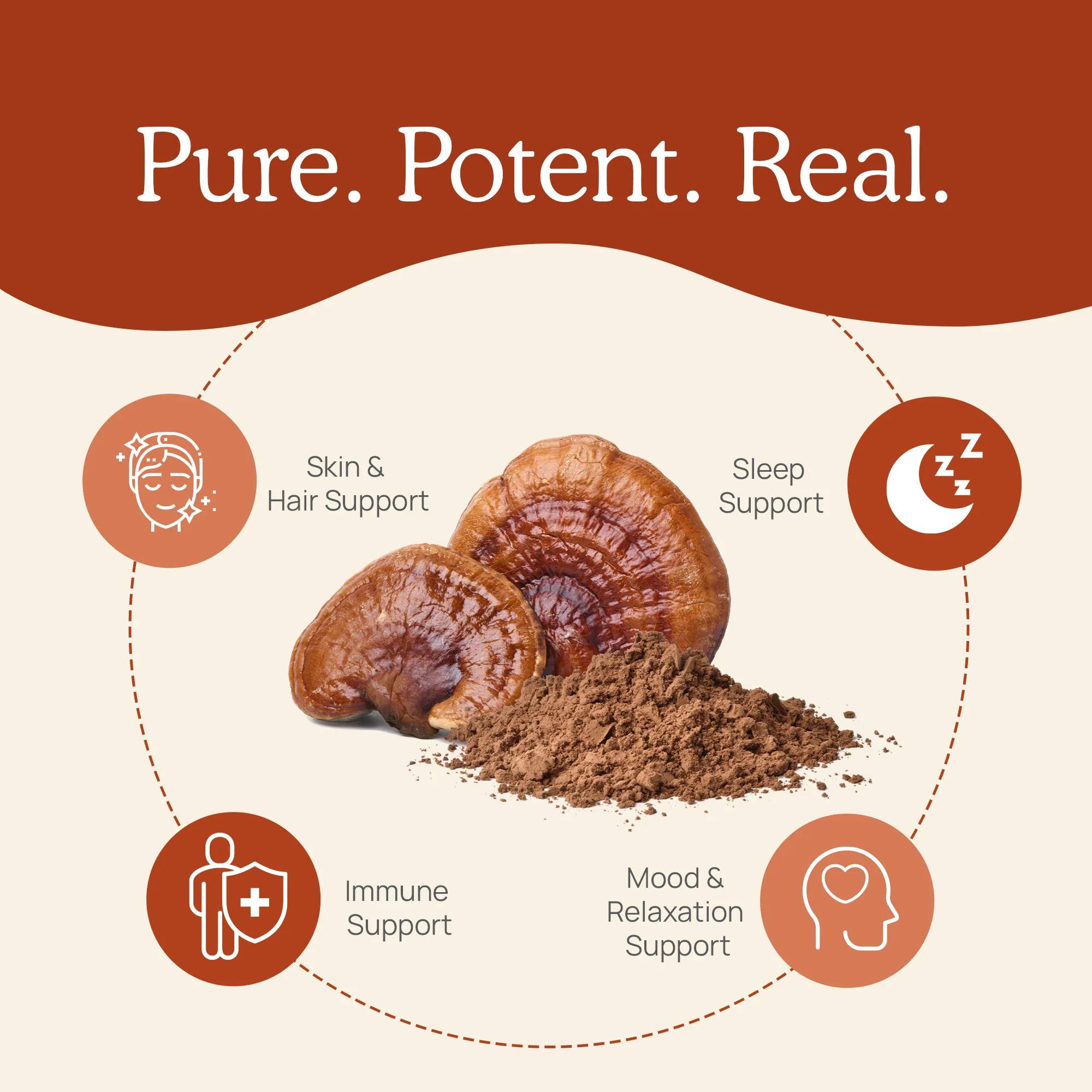 Real Mushrooms Organic Reishi Mushroom Powder – Bulk Extract - Image 7