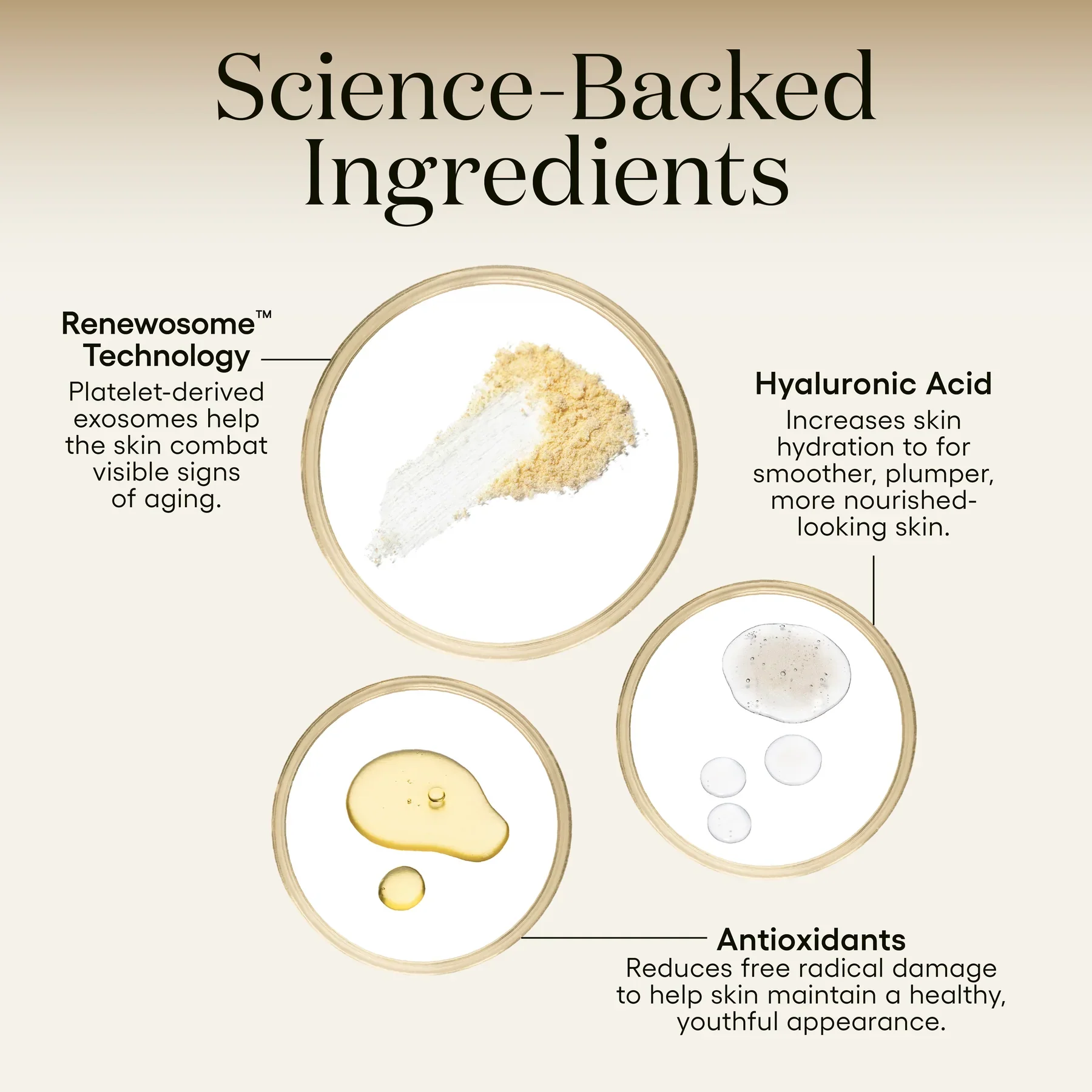 Plated Skin Science INTENSE Serum Full Size - Image 6
