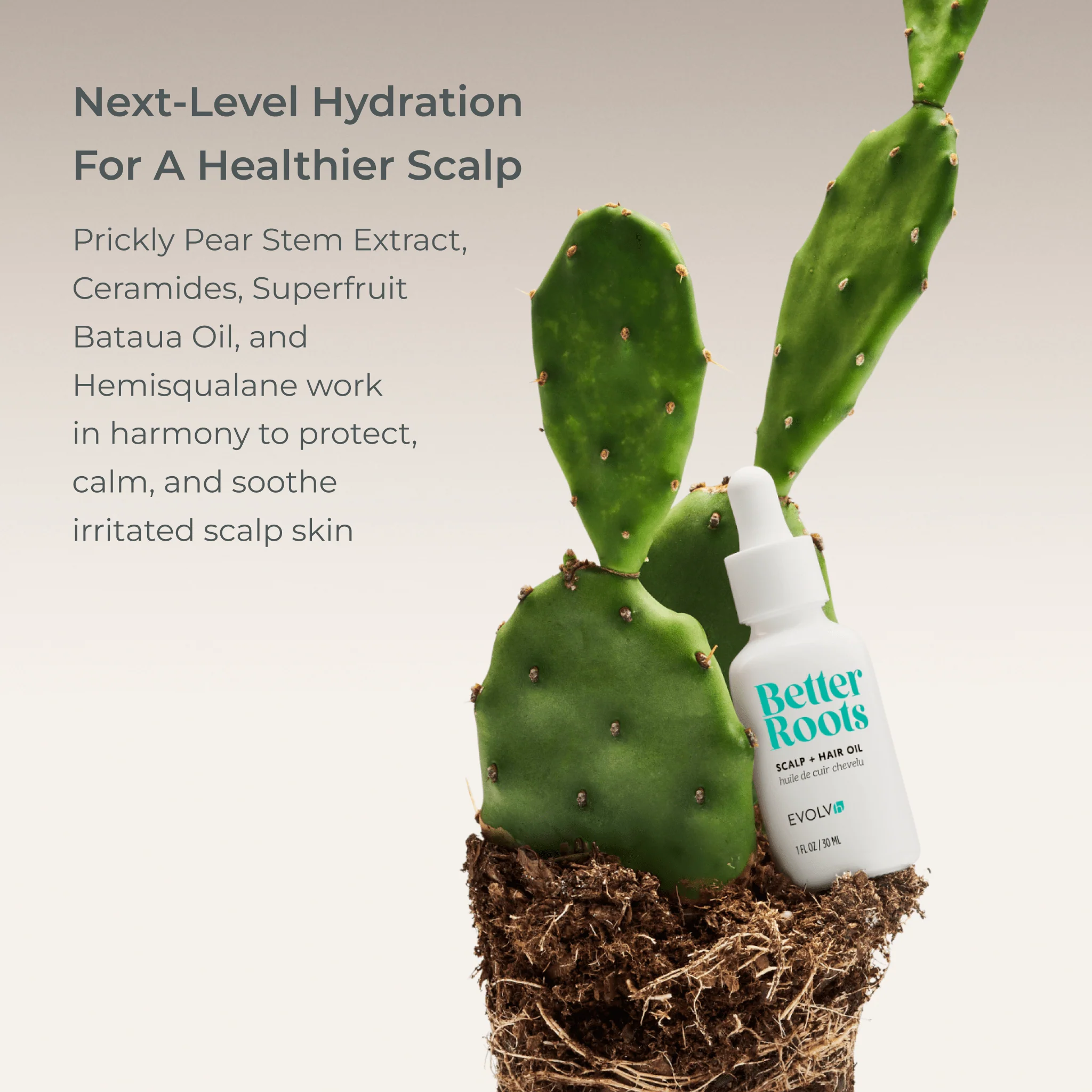 Better Roots Scalp + Hair Oil - Image 7