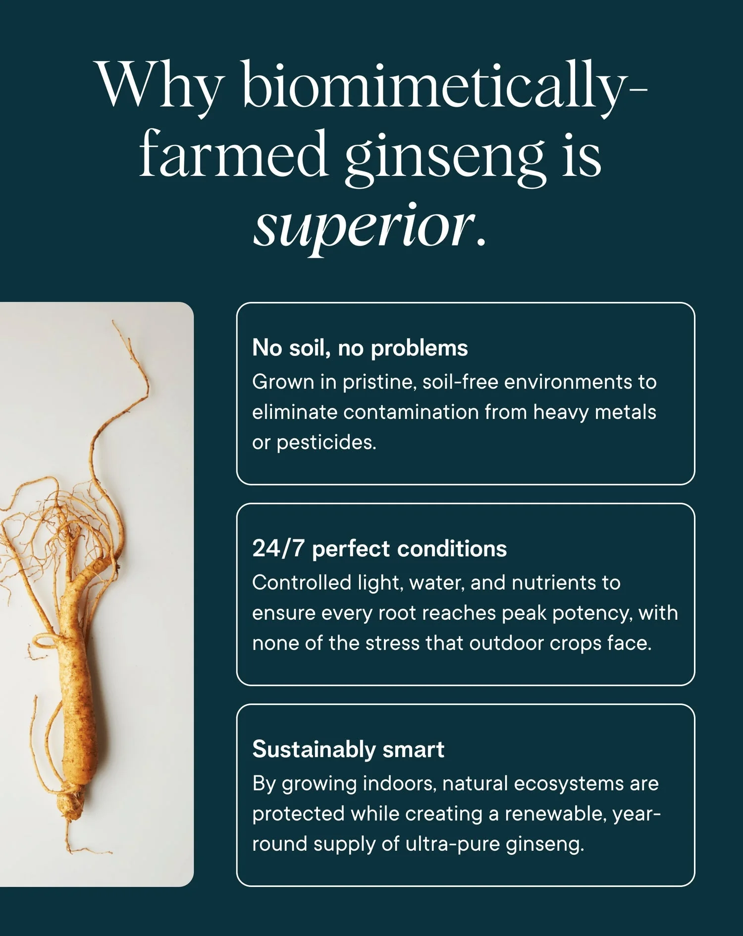 Ora Organic Stress Support - Image 6