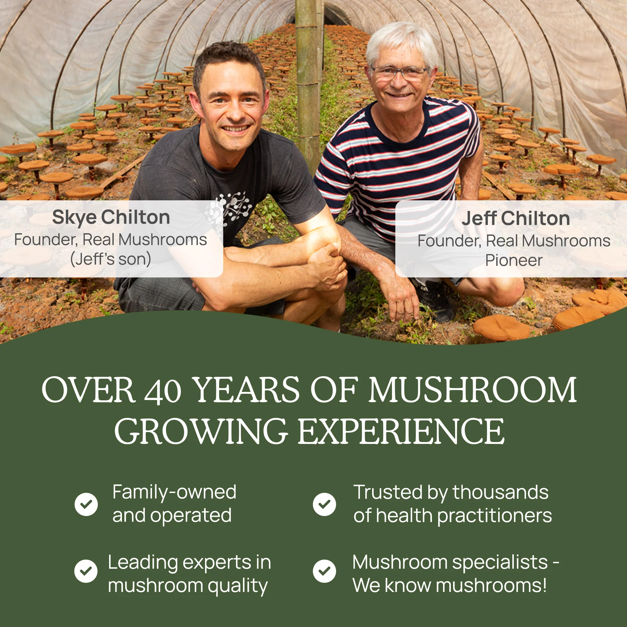 REAL MUSHROOMS Turkey Tail Mushroom Capsules - Image 9